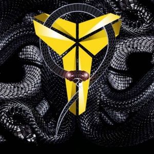 Meet your Posher, Amier